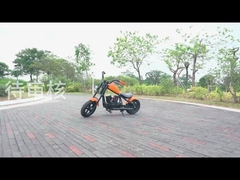 Manual do usuário da motocicleta infantil