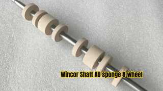 Wincor Nixdorf Shaft AU esponja 8 rodas